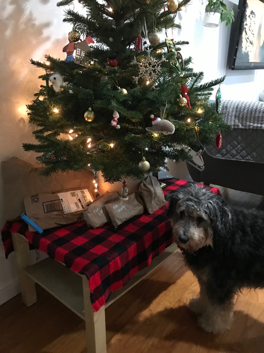 https20201217a dog friendly christmas tree